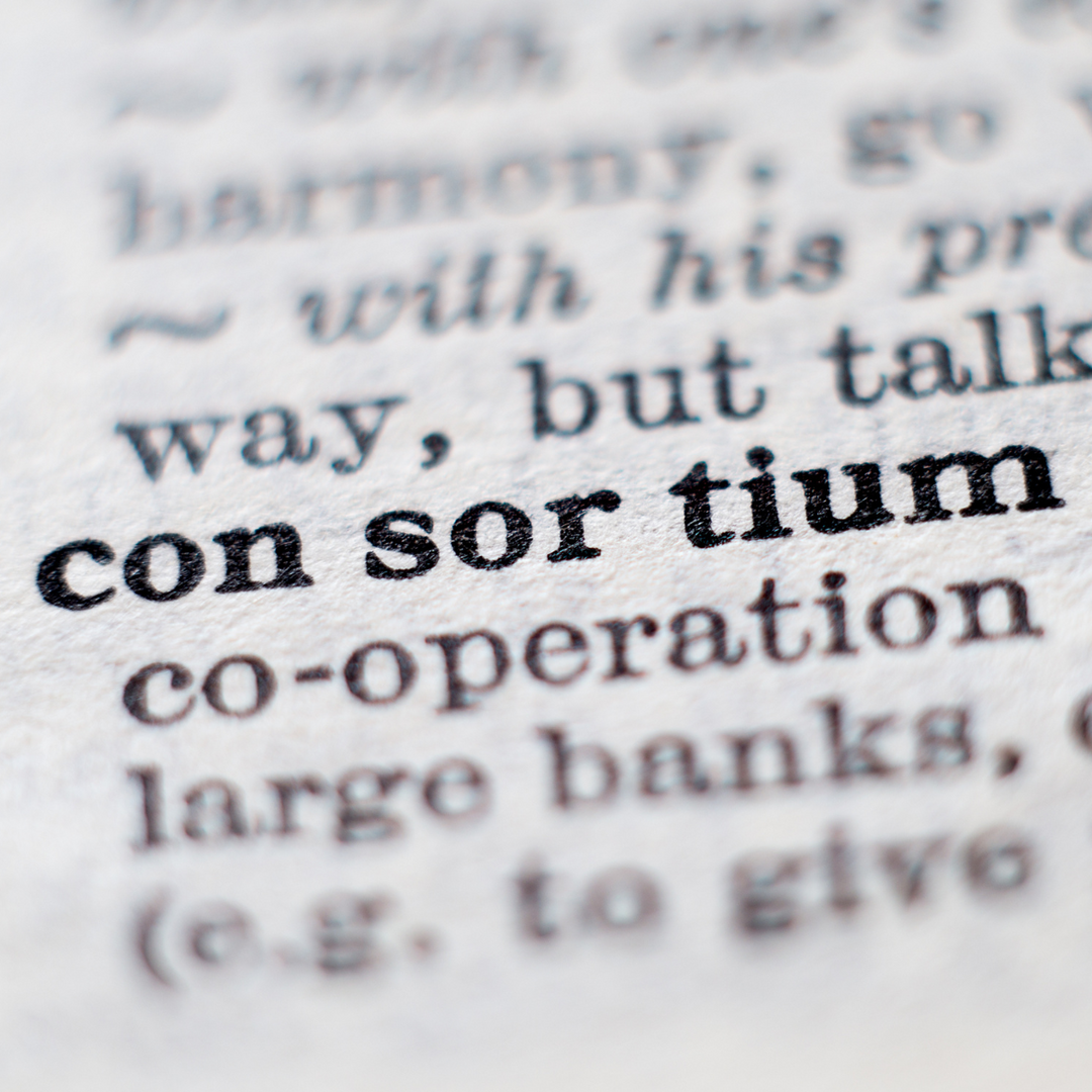 Crafting a Shared Future: The Power of Consortium with OCD Biz Solutions