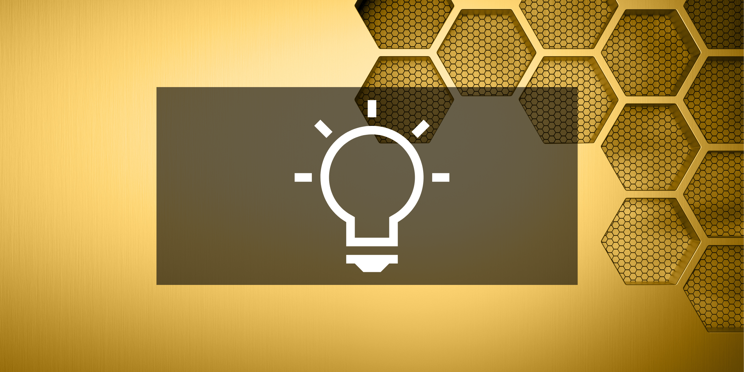 Hive Life - Opportunities