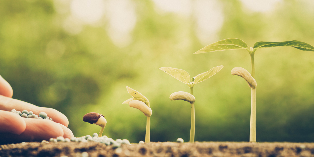 Agriculture & Farming