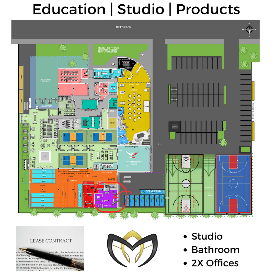 MINT Beauty - Zone B