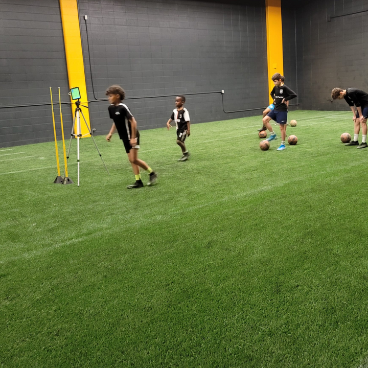 Turf - [ Indoor | Outdoor ]