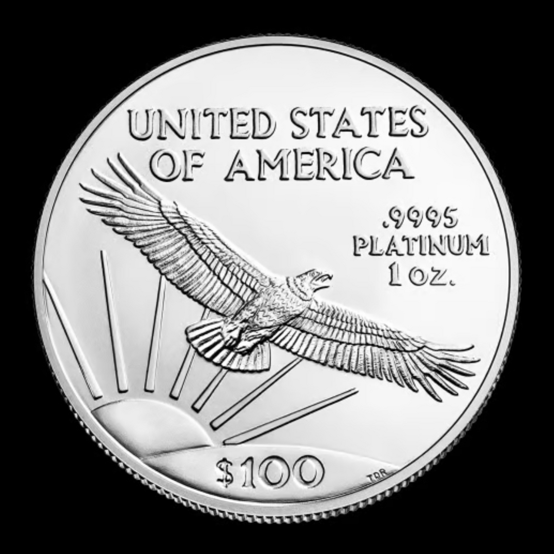 1 oz American Eagle Platinum Coin