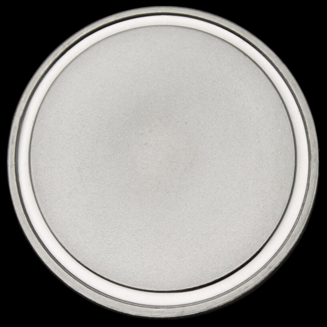 Blank 10 oz .999 Silver Coin