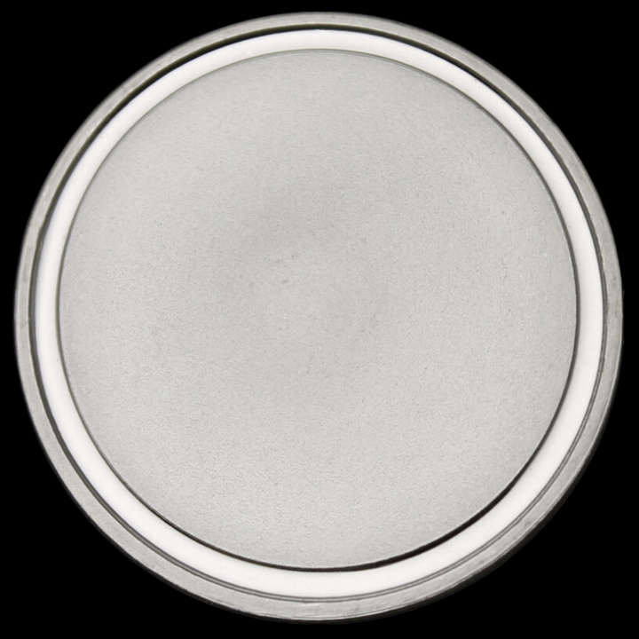 Blank 10 oz .999 Silver Coin