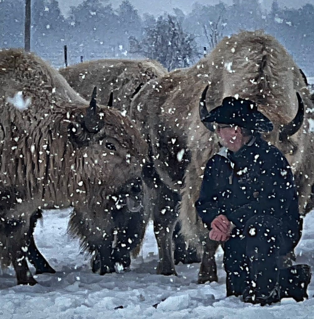 White Buffalo Herd