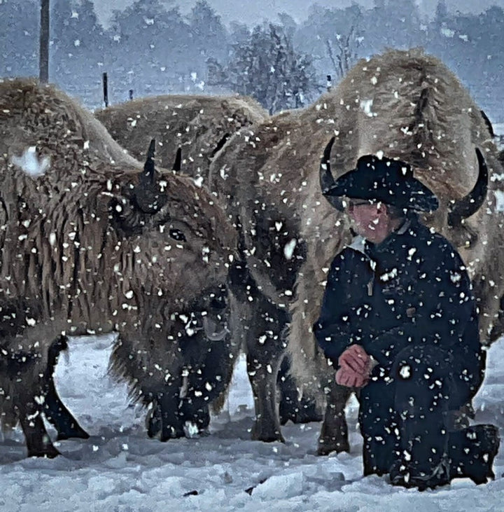 White Buffalo Herd