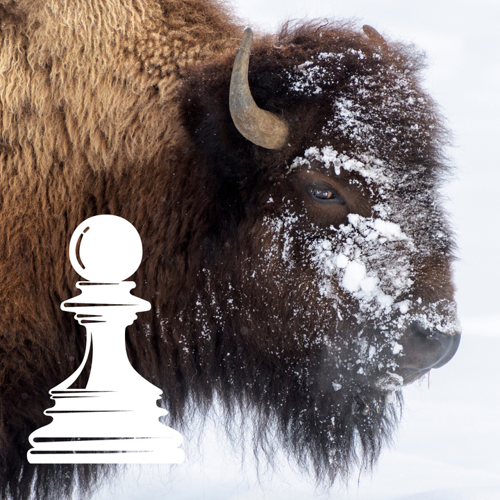 Bison Ranch - 2200 Acres