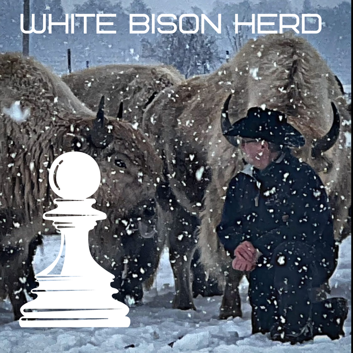 White Buffalo Herd