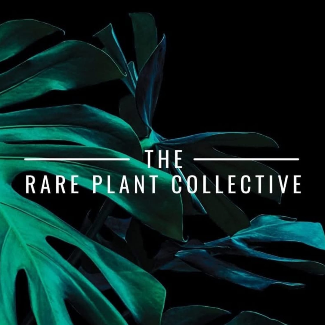 The Rare Plant Collective