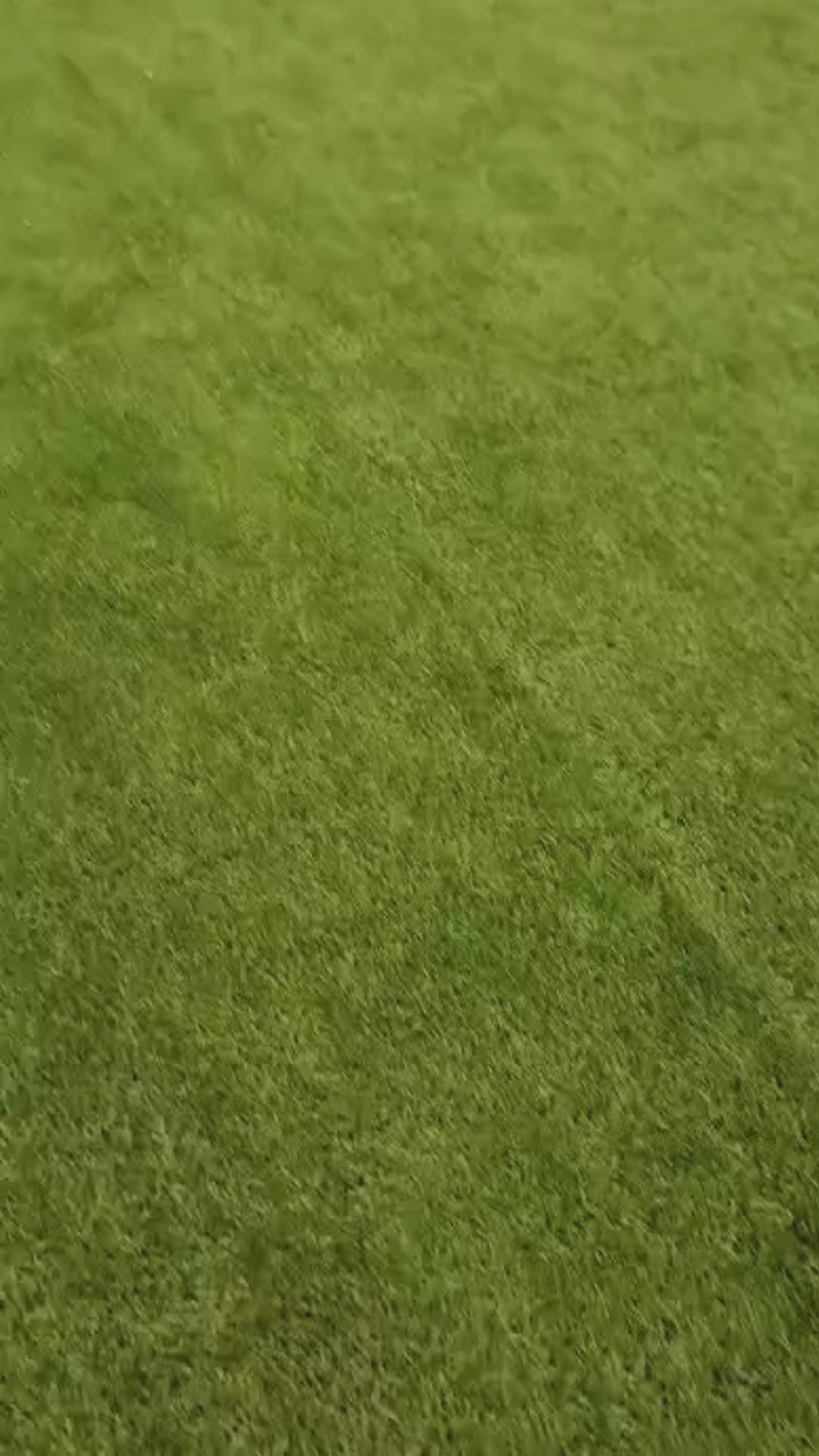 Turf - [ Indoor | Outdoor ]