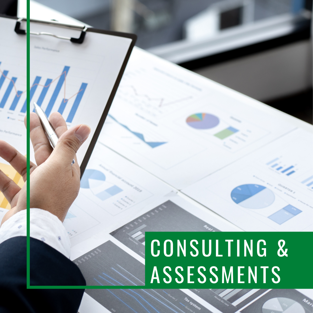 Consultation & Assessments