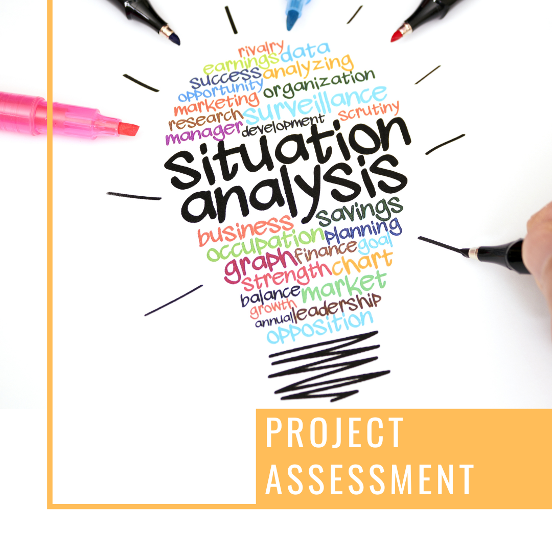 Project Assessment