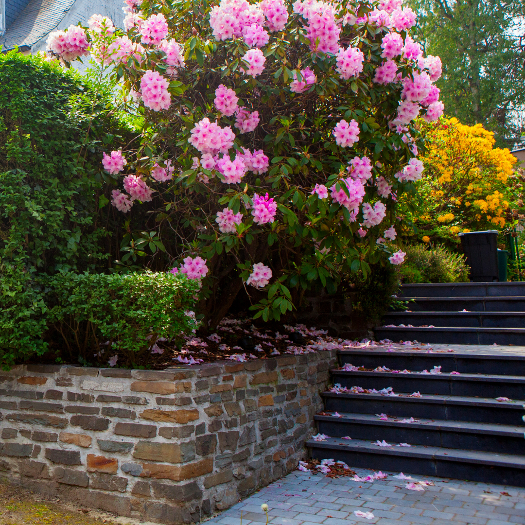 2 Brothers Construction