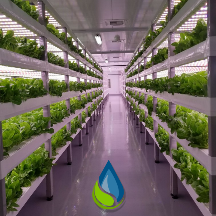 Micro Grow Container