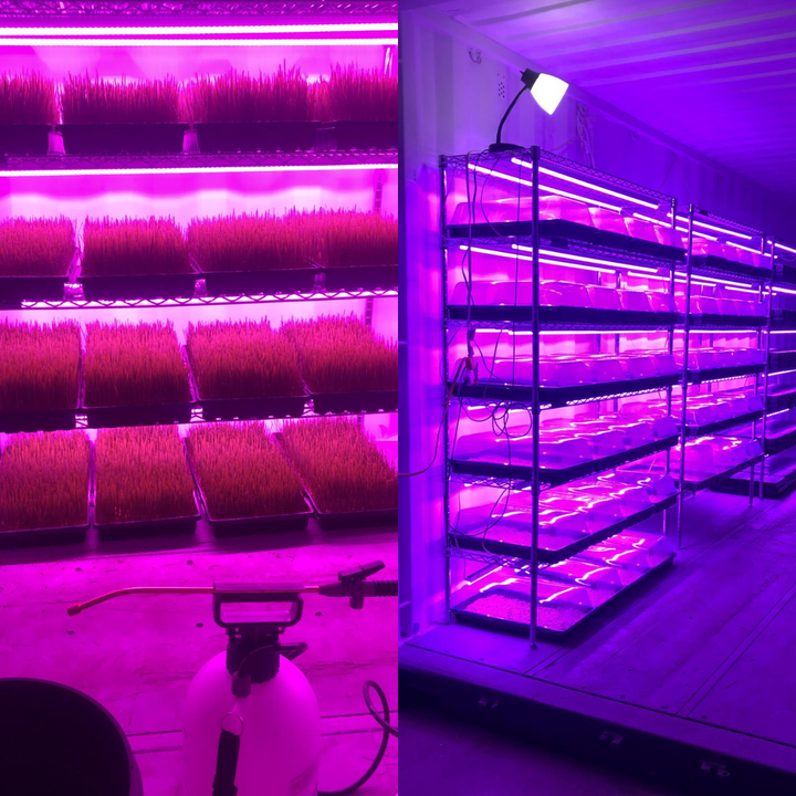 Micro Grow Container