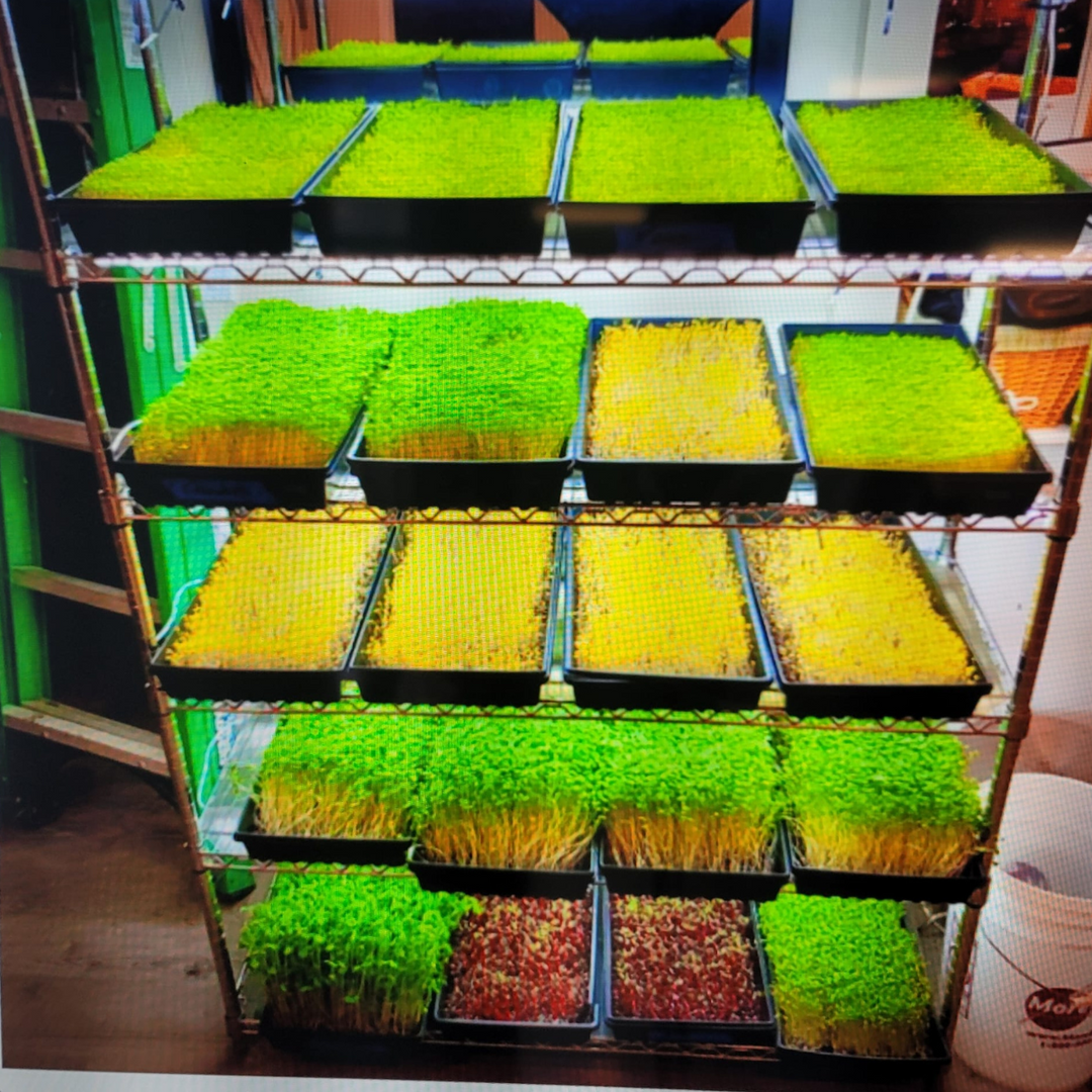 Micro Grow Container