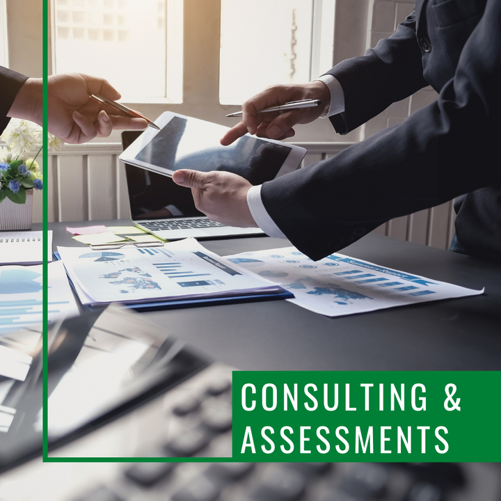 Consultation & Assessments