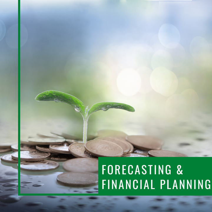 Forecasting & Financial Planning