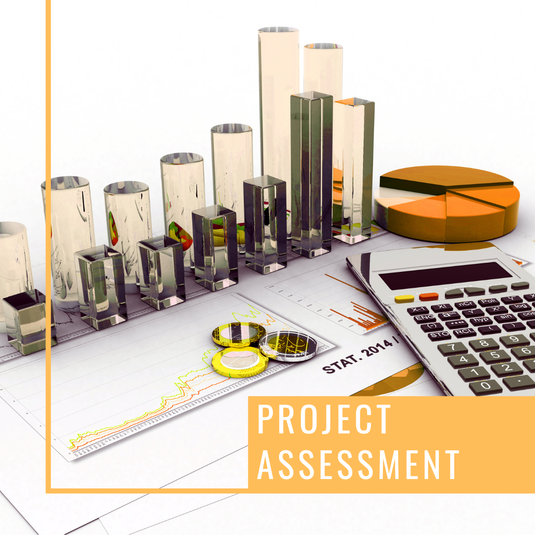 Project Assessment