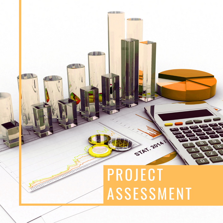 Project Assessment