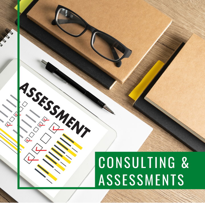 Consultation & Assessments