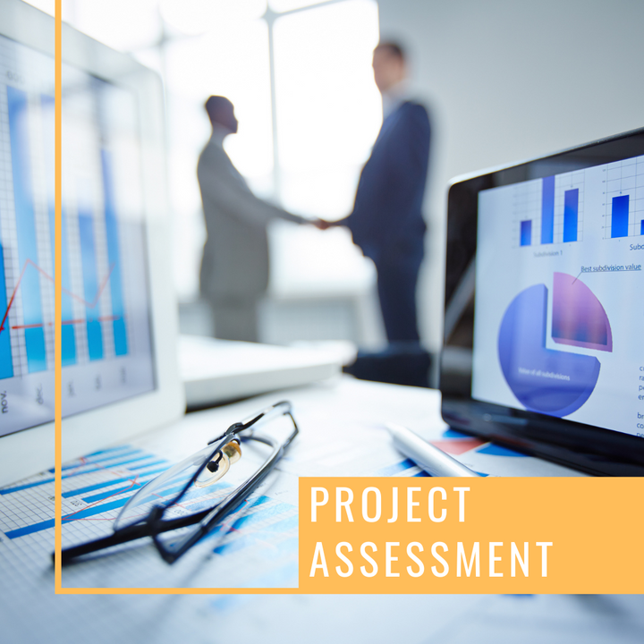 Project Assessment