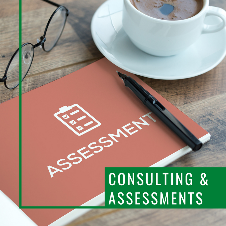 Consultation & Assessments