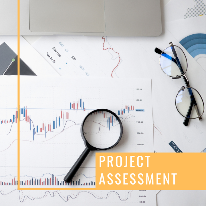 Project Assessment
