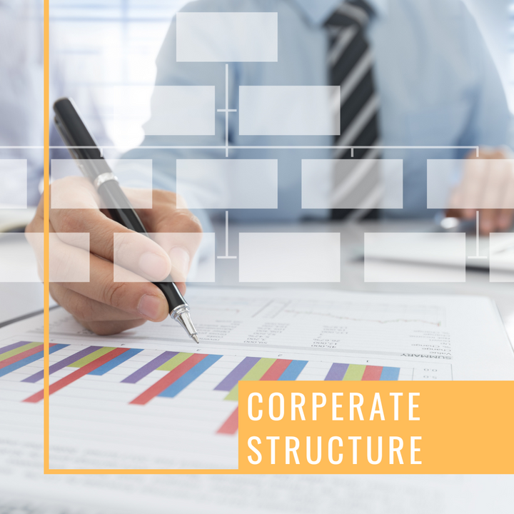 Corporate Structure