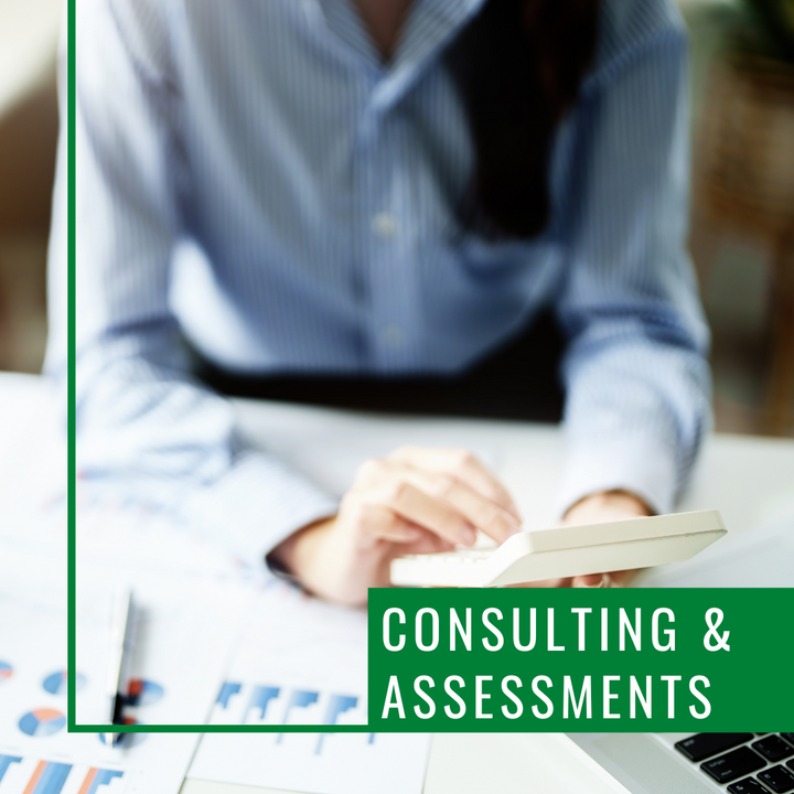 Consultation & Assessments