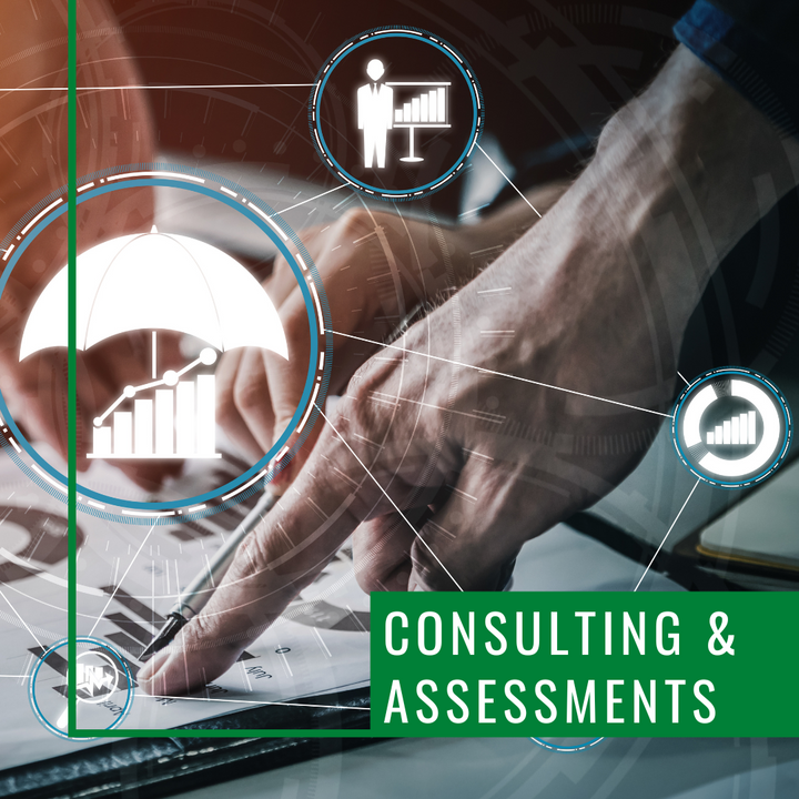 Consultation & Assessments