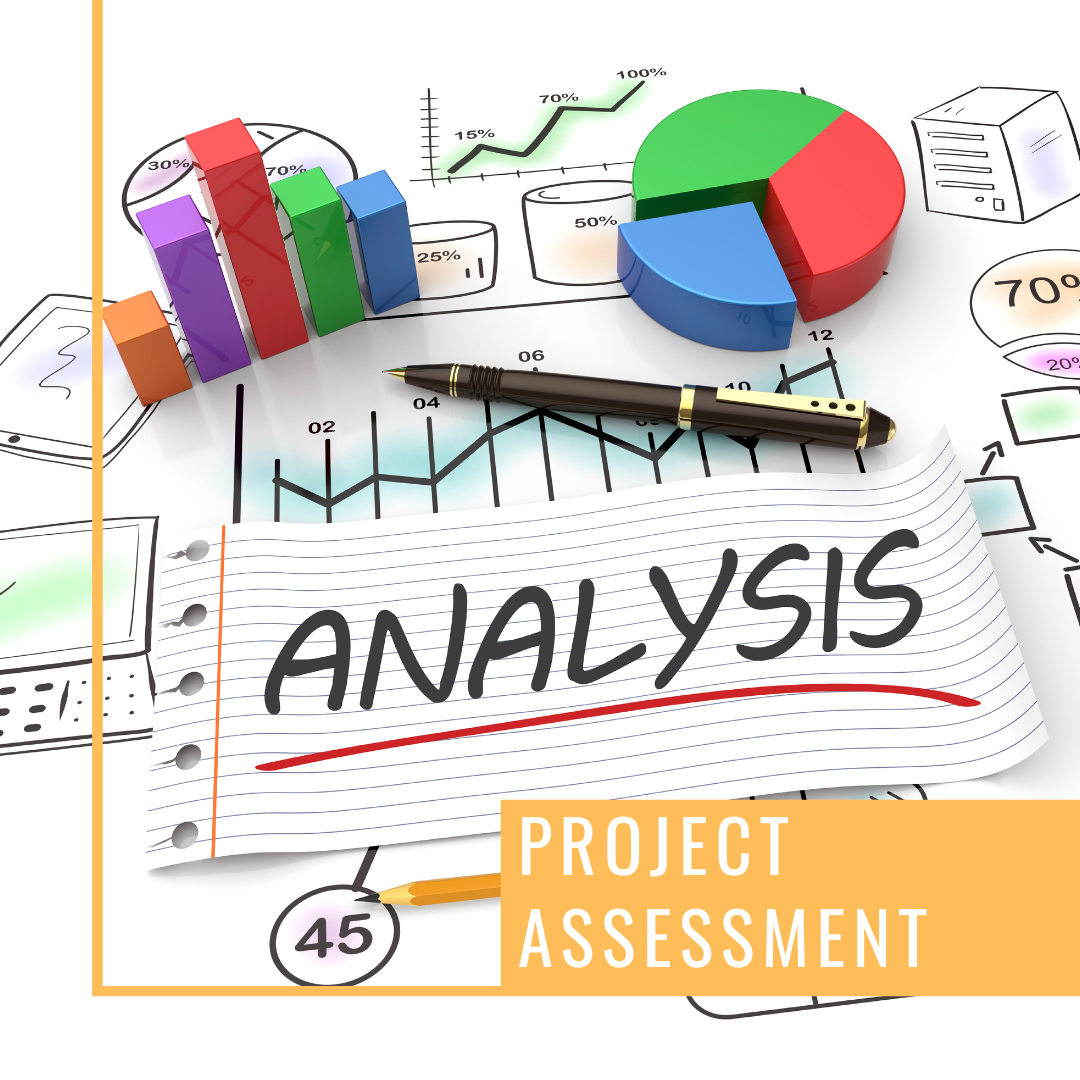 Project Assessment