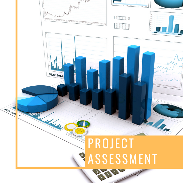 Project Assessment