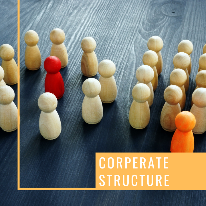 Corporate Structure