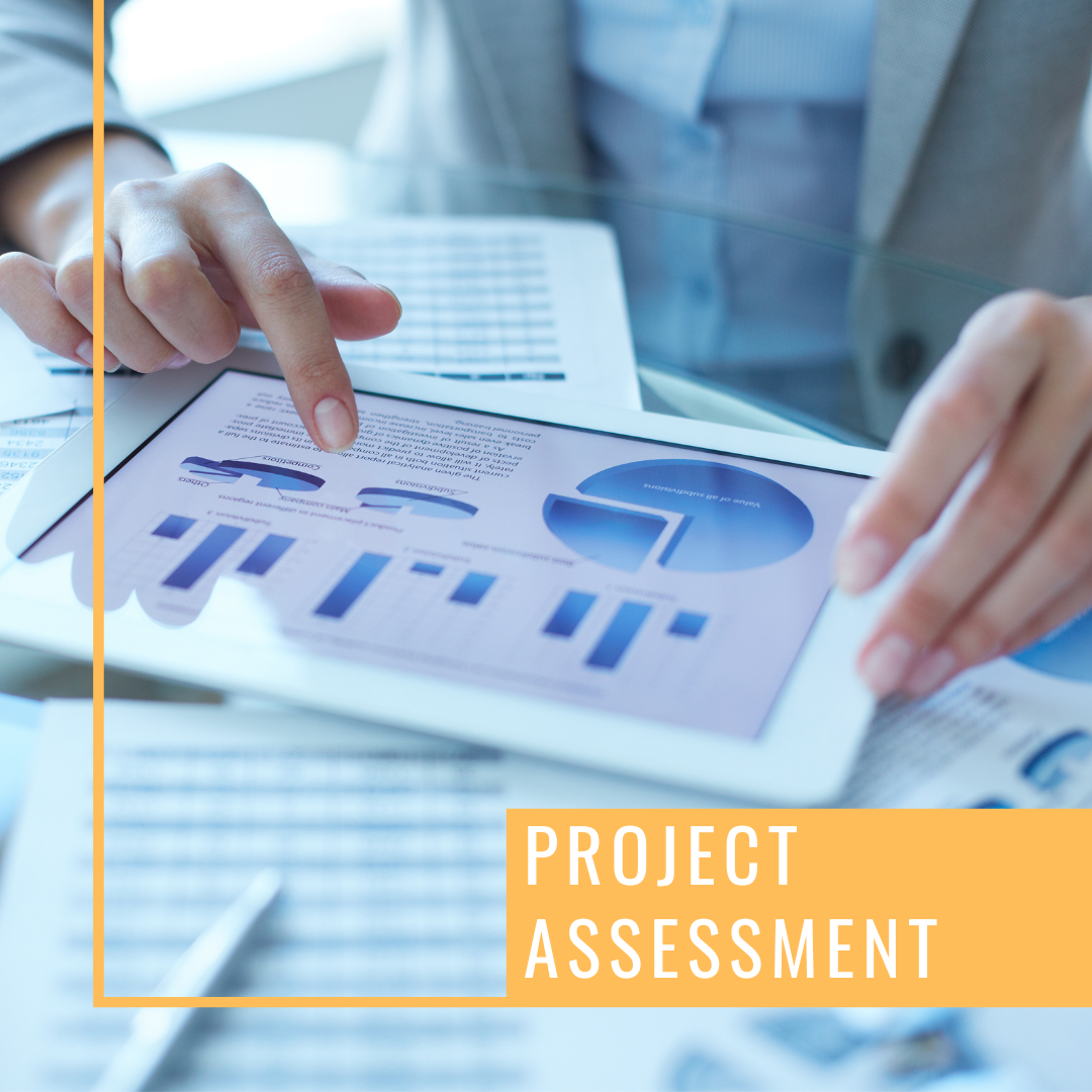 Project Assessment