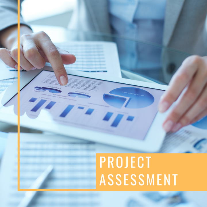 Project Assessment
