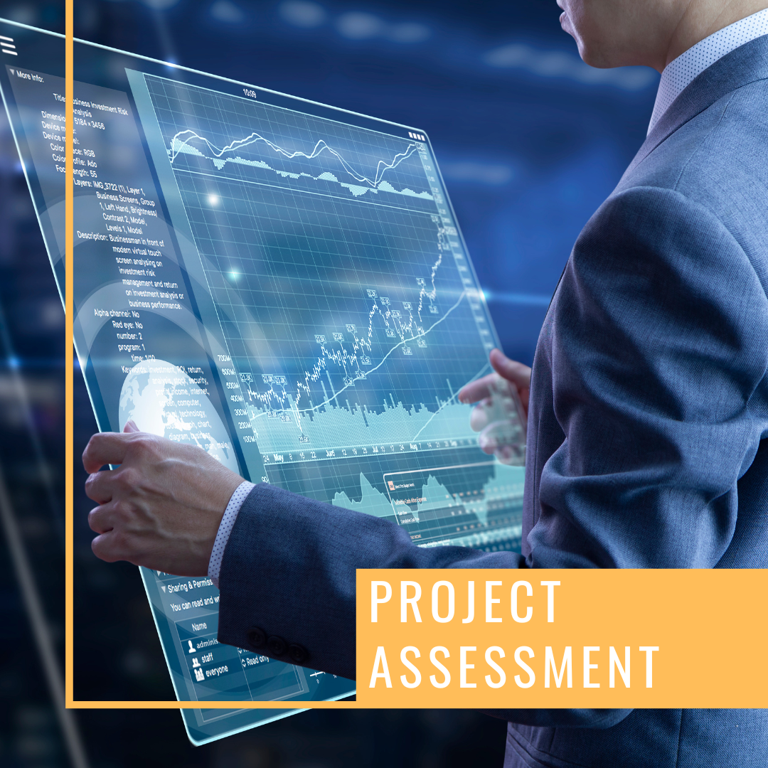 Project Assessment