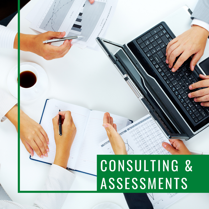 Consultation & Assessments