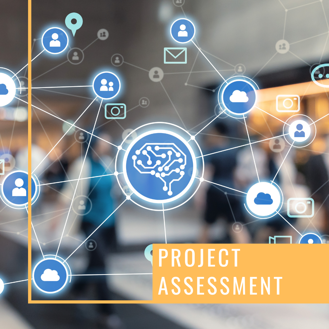 Project Assessment