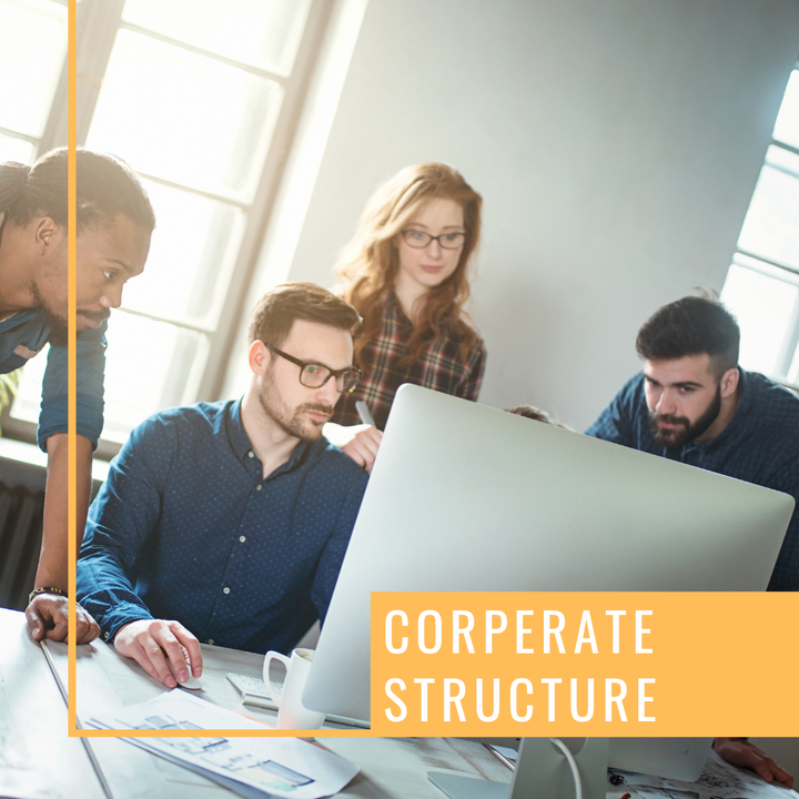Corporate Structure