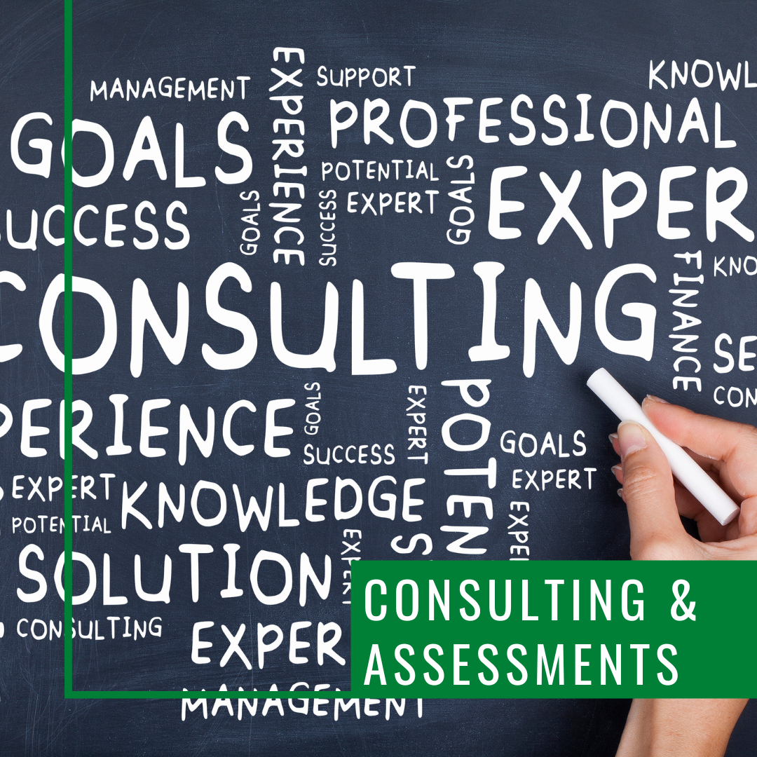 Consultation & Assessments