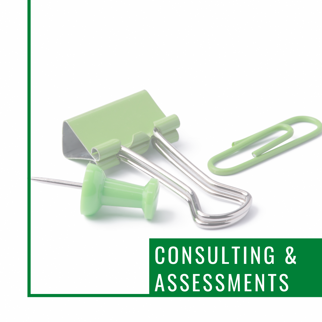 Consultation & Assessments