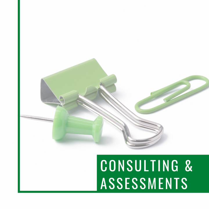 Consultation & Assessments