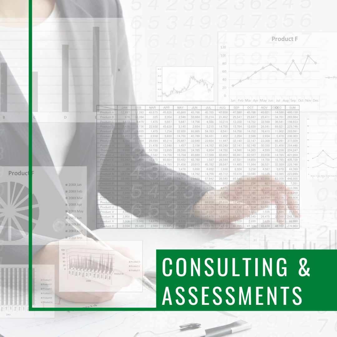 Consultation & Assessments