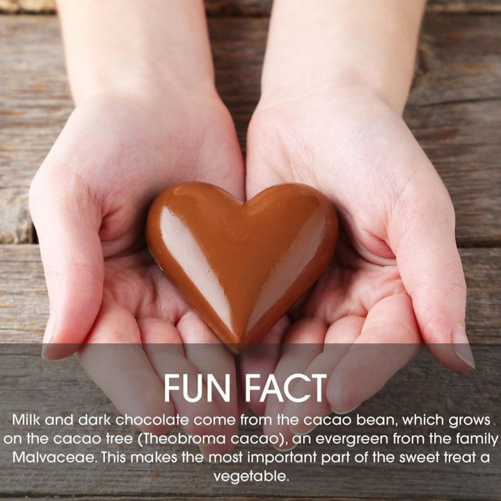 CHOCOLATE HEAVEN SMOOTHIE