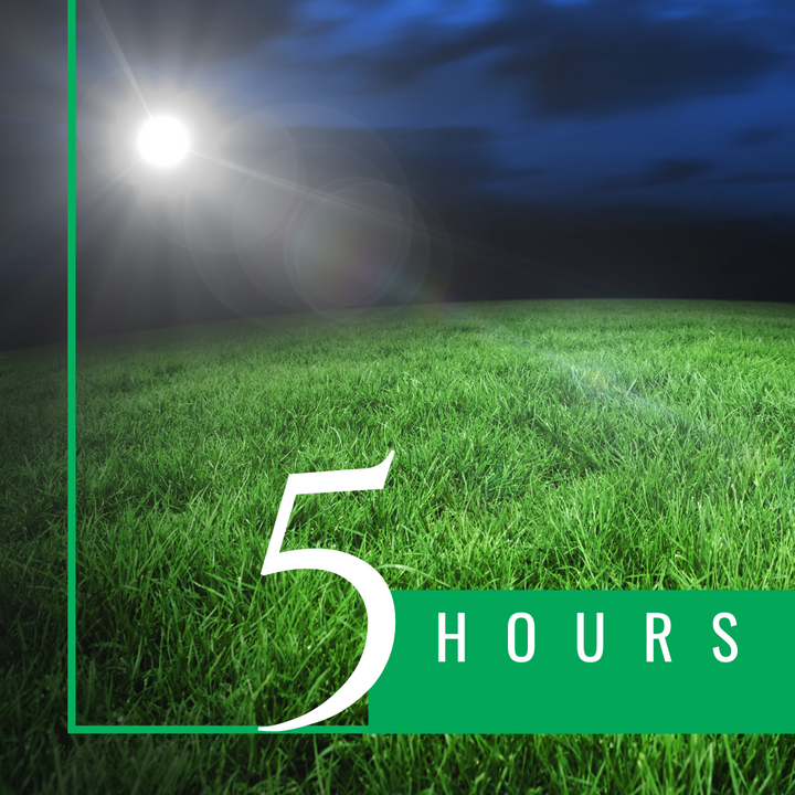 Turf Booking - Daytime