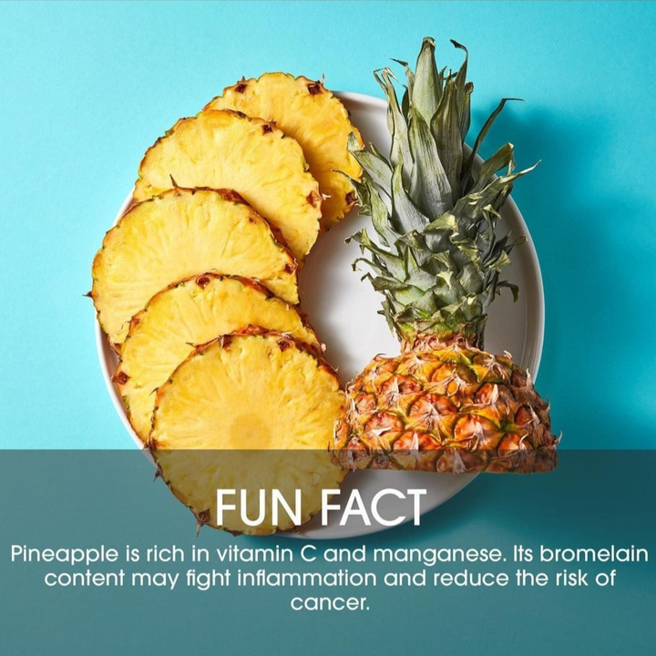 PINA COLADA SMOOTHIE