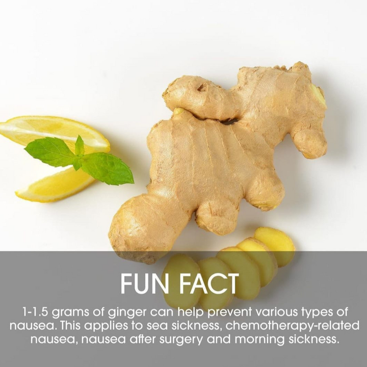 SNICKERDOODLE SMOOTHIE