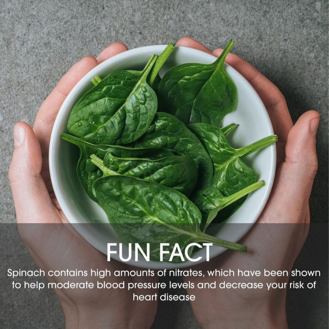 SPINACH POWER SMOOTHIE