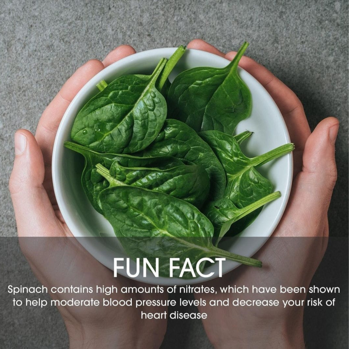 SPINACH POWER SMOOTHIE